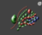 Cabochon ©
