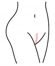 playboy.jpg