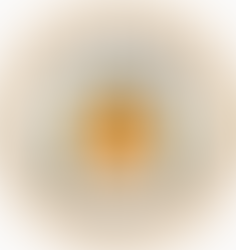 Welcome to the CPS Family: The City of Orange!