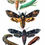 Thumbnail: VINTAGE BUTTERFLIES & MOTHS