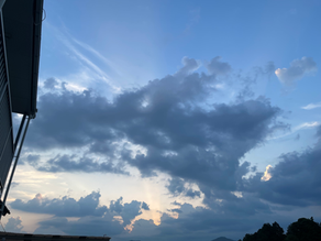 🍠美味しく健康に秋の味覚と付き合う方法