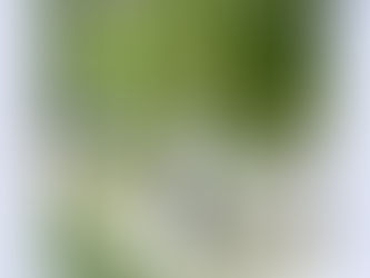 🌱健康とはどんな状態でしょう?