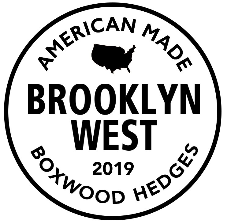 Writer: Brooklyn West Hedges