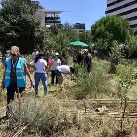 Le jardin partagé en devenir