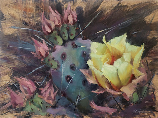 Olgas Cactus.jpg