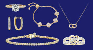 insert pic_edited.jpg