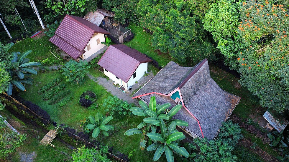 Bamboo Low Cost Housing