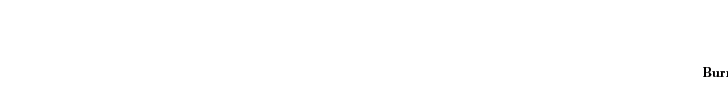 Burns_AnimatedSocialMediaAd-728x90.gif