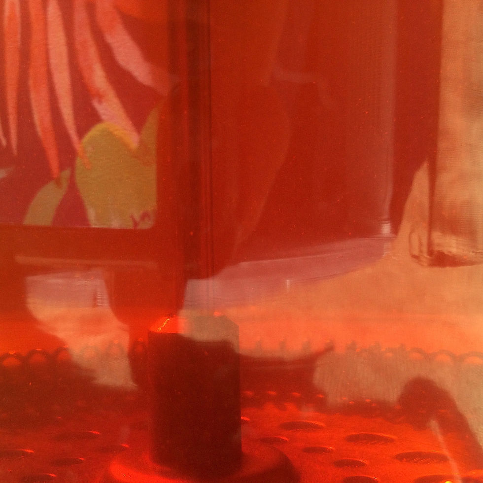Thumbnail: Cascara ~ a.k.a. Coffee Cherry Tea from Burundi