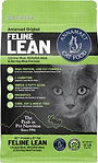 feline lean.jpg