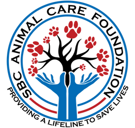 SBCACF LOGO (Transparent).png