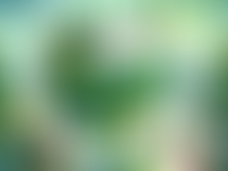 Is Santa Sustainable?