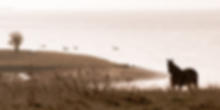 _DSC4892.png