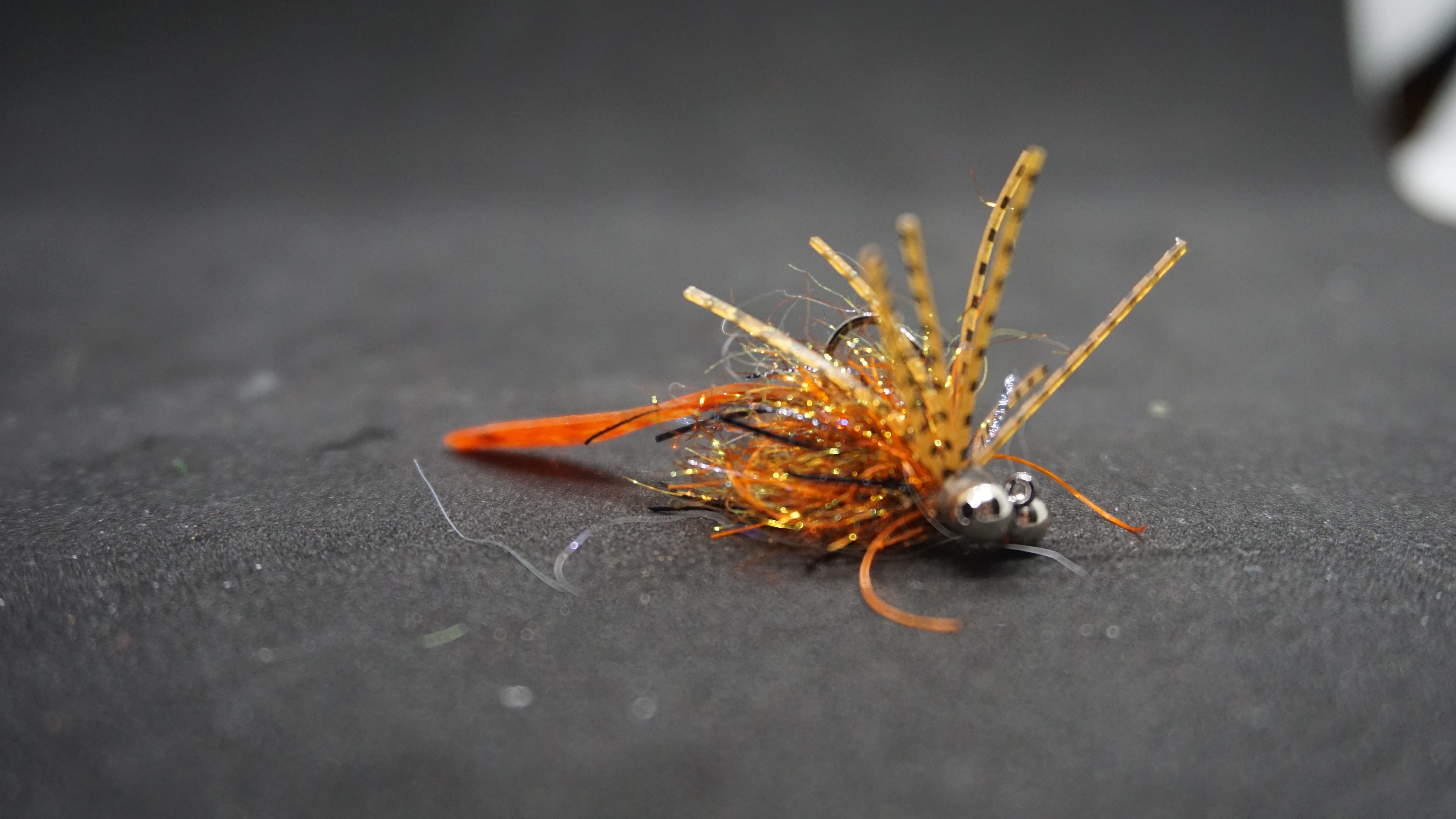 That Carp Fly