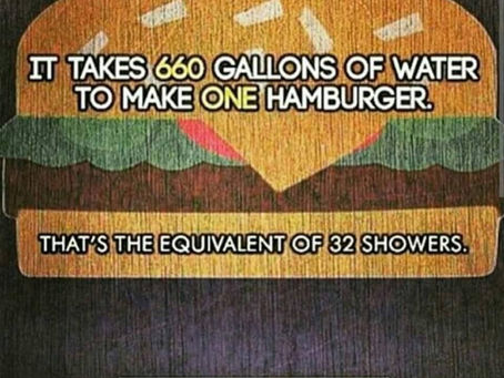 The Environmental Impact: Water