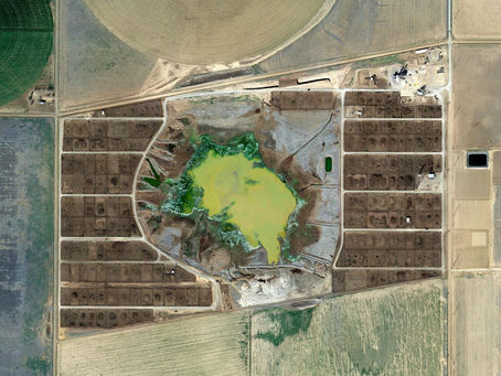 The Environmental Impact: Animal and Food Waste