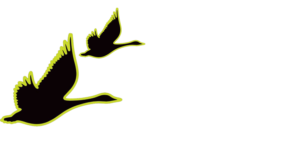 GREEN GOOSE STRIP2.png