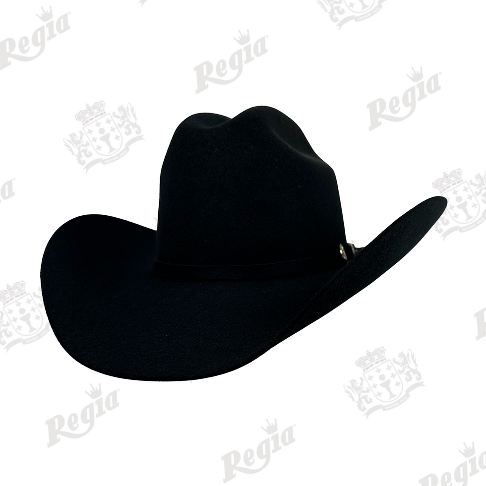 Miniatura: Texana Mod. J10901-10