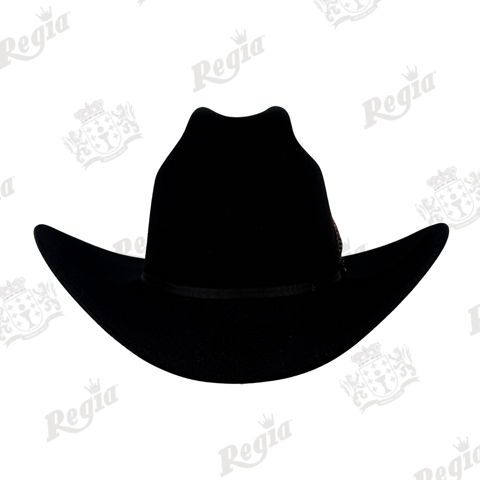 Miniatura: Texana Stetson Mod. Rancher 6´x