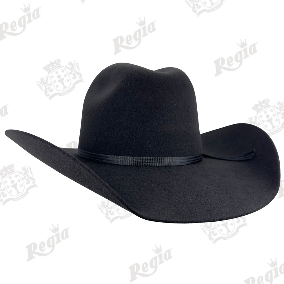 Miniatura: Texana Mod. Sonora II