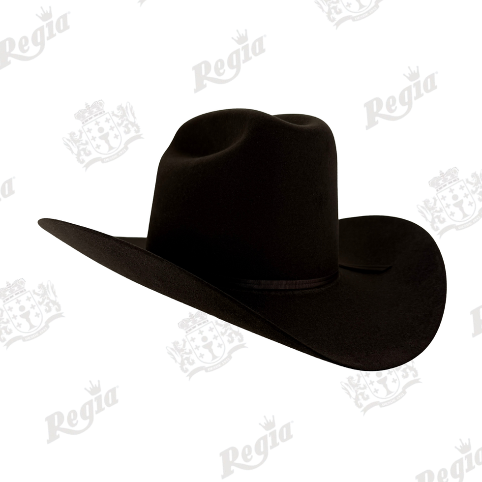 Miniatura: Texana Stetson Mod. Rancher 6´x