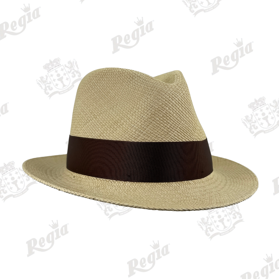 Miniatura: Sombrero Panamá Mod. Stefano