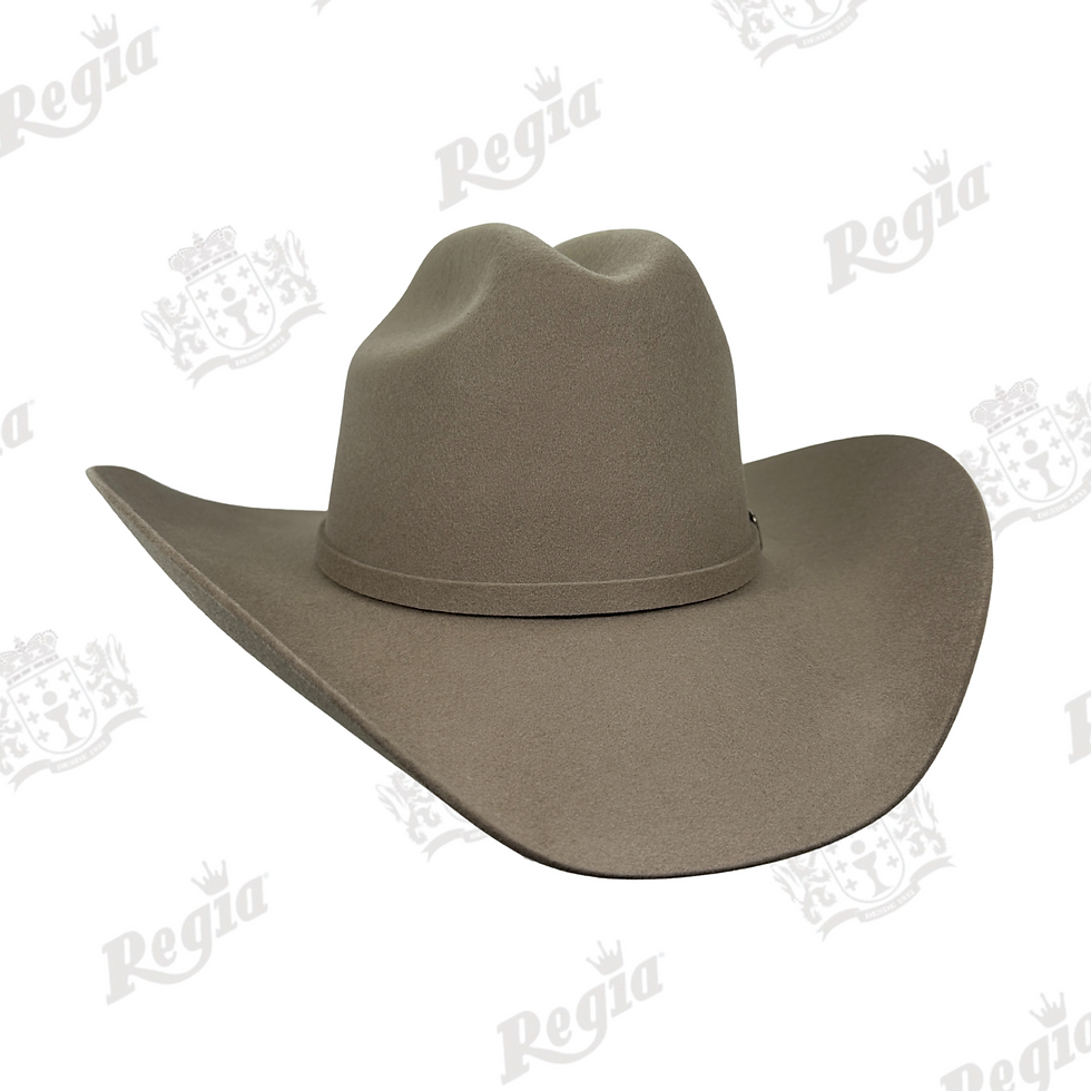 Miniatura: Texana Mod. Lab88