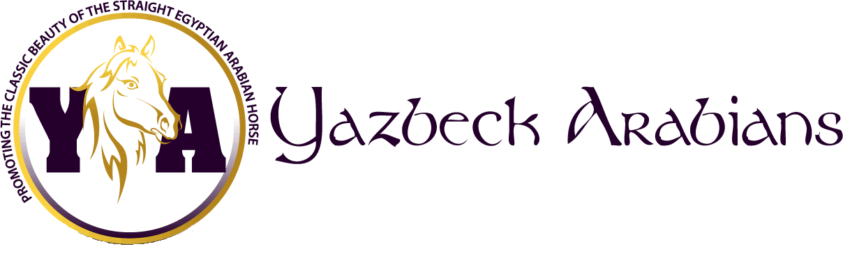 logo.gif