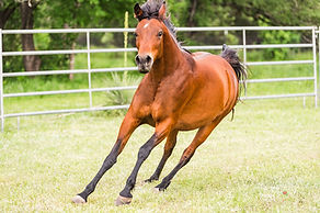 DSC_1919_websize.jpg