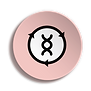 BOTON 1.png