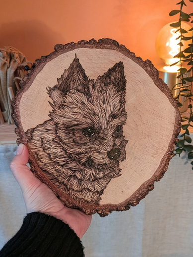 portrait de chien pyrogravé