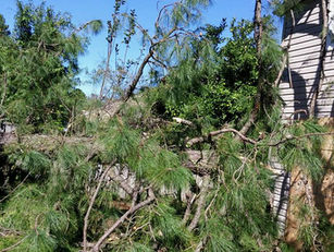 Hurricane Matthew...