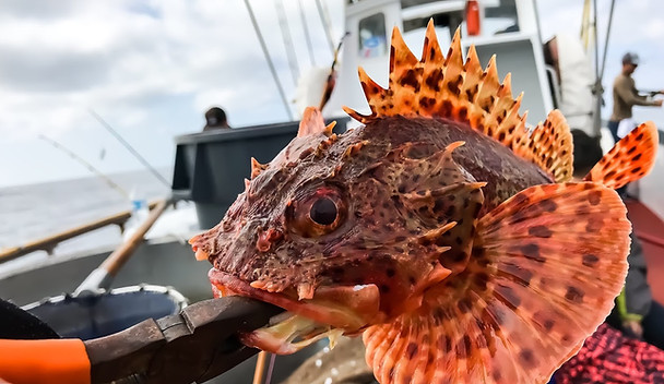 ロサンゼルスの釣り情報 ロサンゼルスの海釣り United States
