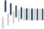 Evolved Logo_Long Lines Only01_edited.jpg
