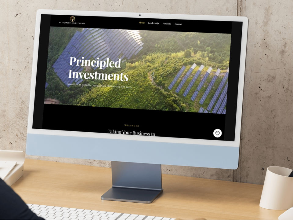 Professional minimalistic website for a consultant in Singapore