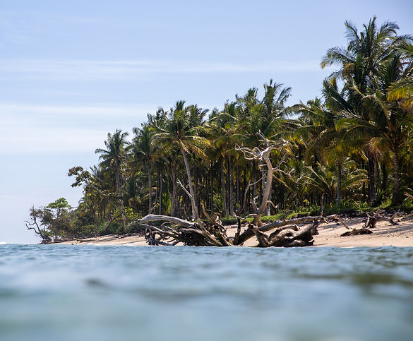 Ujung Bocur Surfing