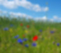 20200606_100334 Kopie_edited.jpg