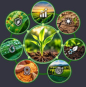 Improvement Factors_edited.jpg