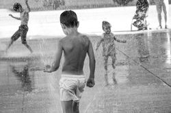 Splash