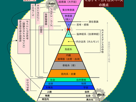 メニュー変更に伴い、ホームページをリニューアルしました。