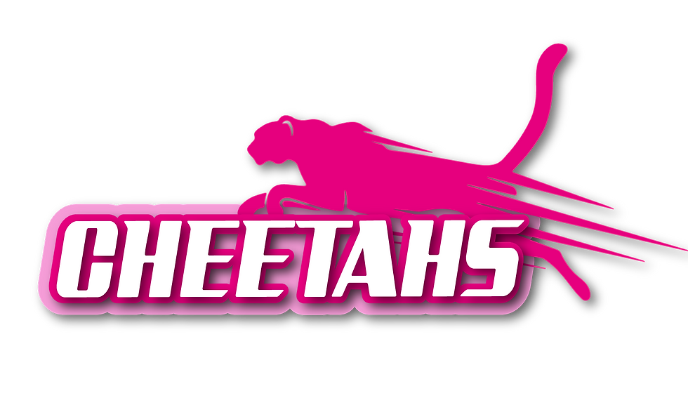 TLtp_cheetahs.png