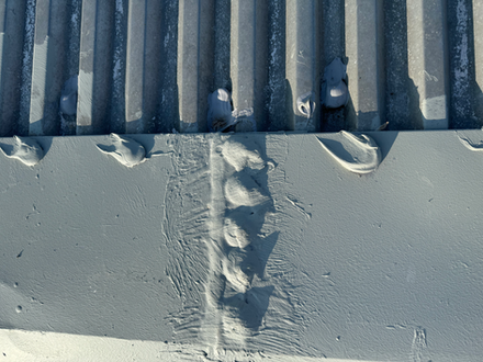 Roof Protection on Bolts