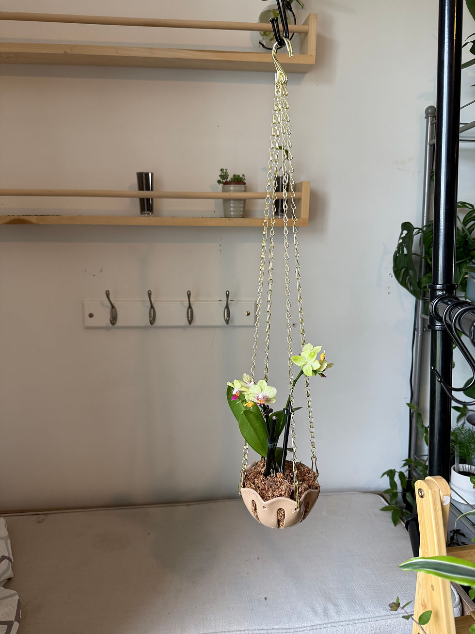Thumbnail: Petite Orchid Garden Bowl