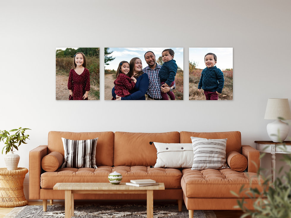 gallery-snapshot.jpeg