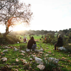 מה היתרונות של תרגול מיינדפולנס לעומת שיטות אחרות להרפיה? במודעות מתמשכת