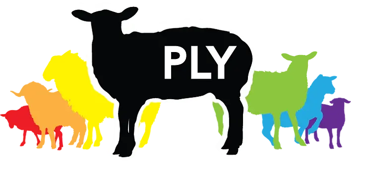 PLY_PrideSheepHerd_corrected-1.webp