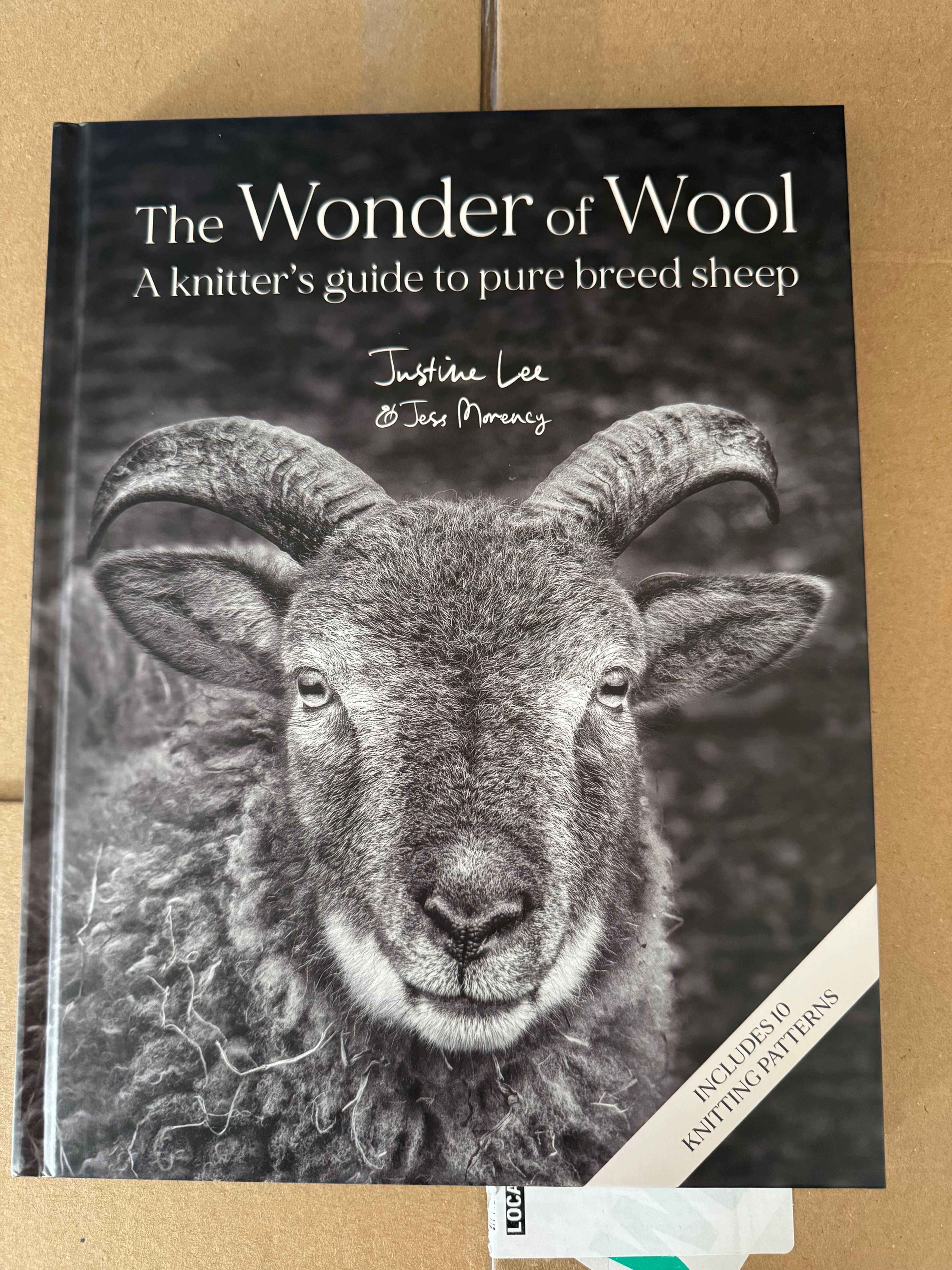 The Wonder of Wool - Justine Lee & Jess Morency