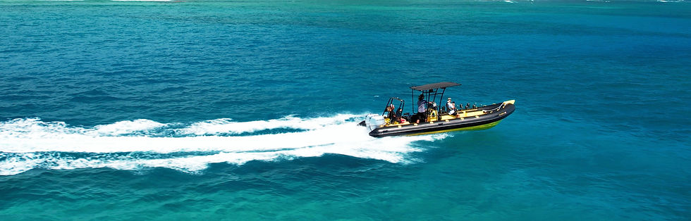 Diamond Head_edited.jpg