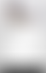 alaska dog sled tour from seward