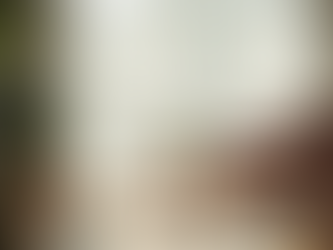 Echilibrul Prezenței